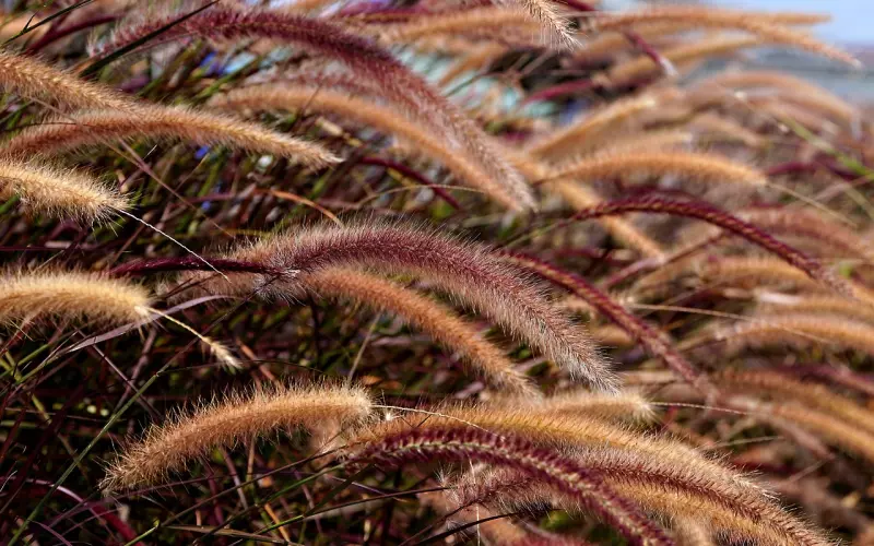 怎么对付男人的狐朋狗友？