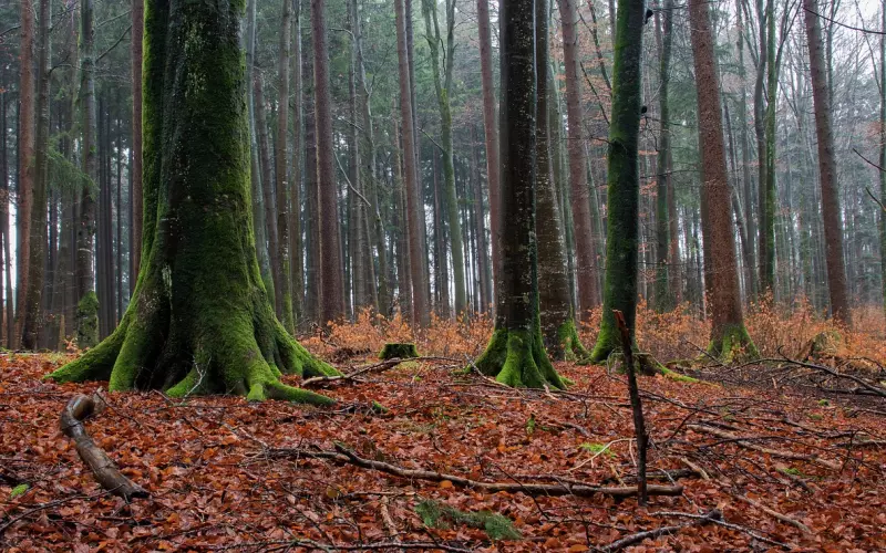 如何对抗分手坏情绪