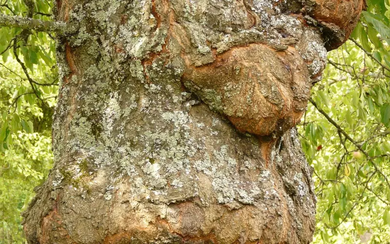 怎样和直男癌相处！