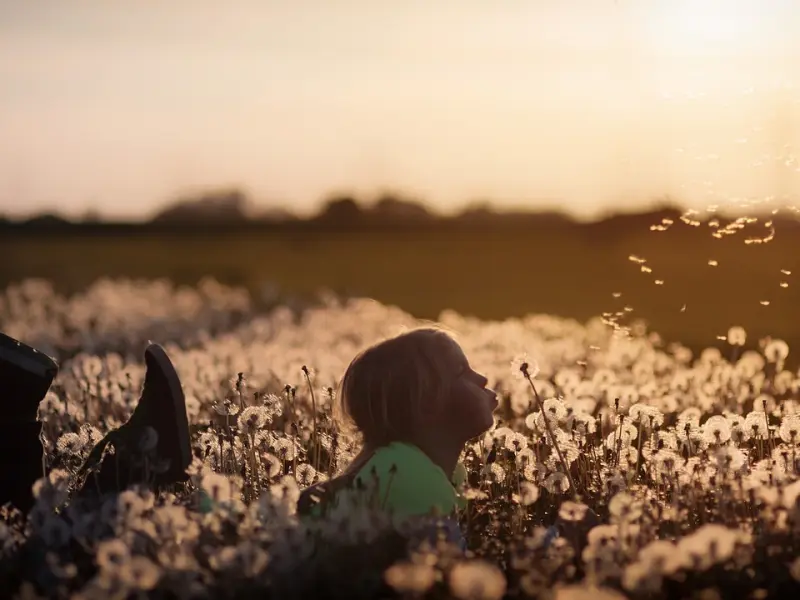 联系方式怎么处理，看这一篇就够了