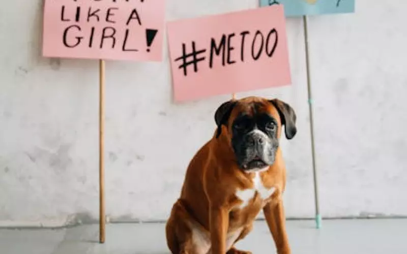 男女婚外情关系怎么处理(最容易发生婚外情的4大生肖男女)