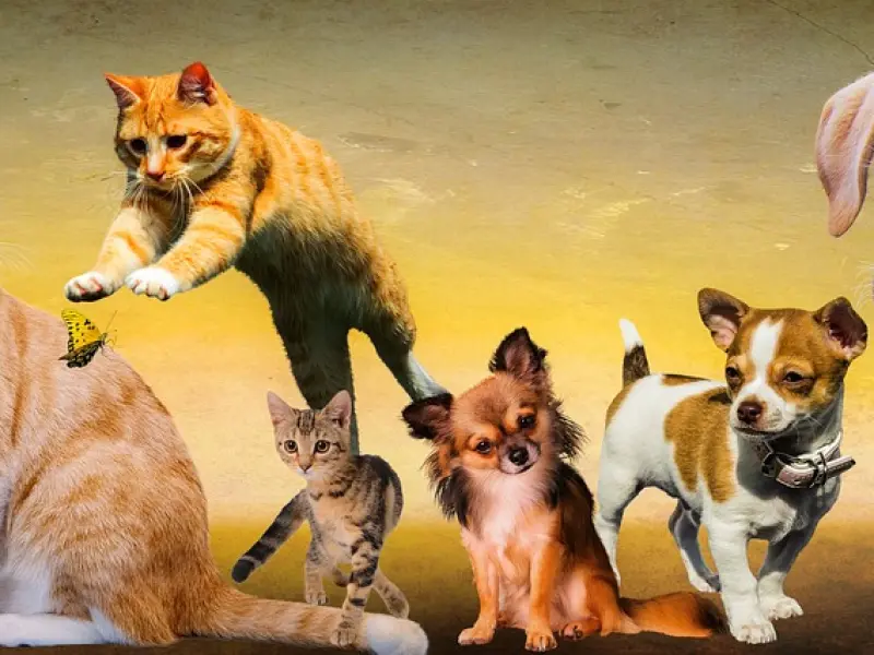 发现小三该如何处理？