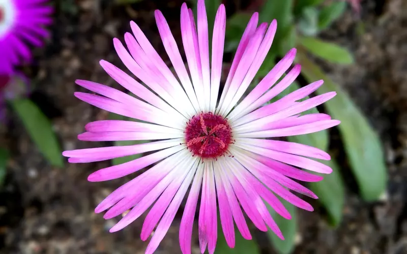 如何处理男女之间的关系？