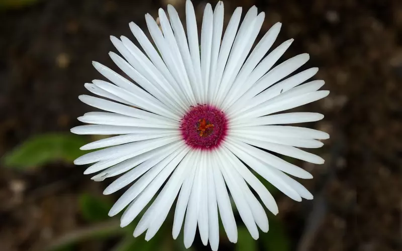 怎么处理你和婆婆之间的关系？