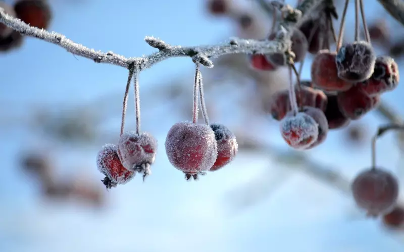怎么解决男友的冷暴力