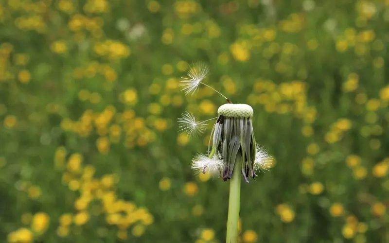 如何判断要不要和他分手