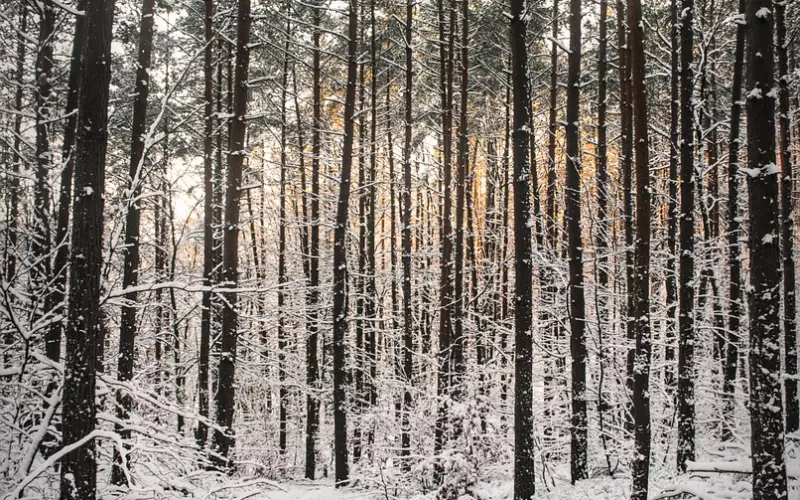 如何觉察TA隐藏的情感？