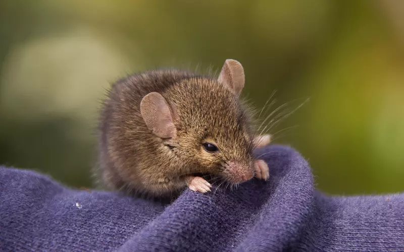 怎么确定前男友在分手后有没有新欢？分享四个前男友有新欢的表现