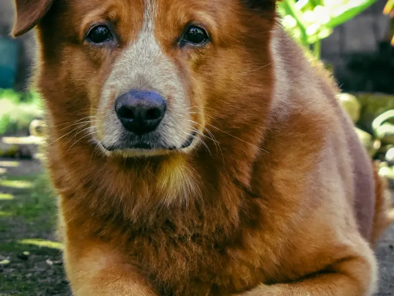 高情商人类养成记？这是我看过最干货的文章!