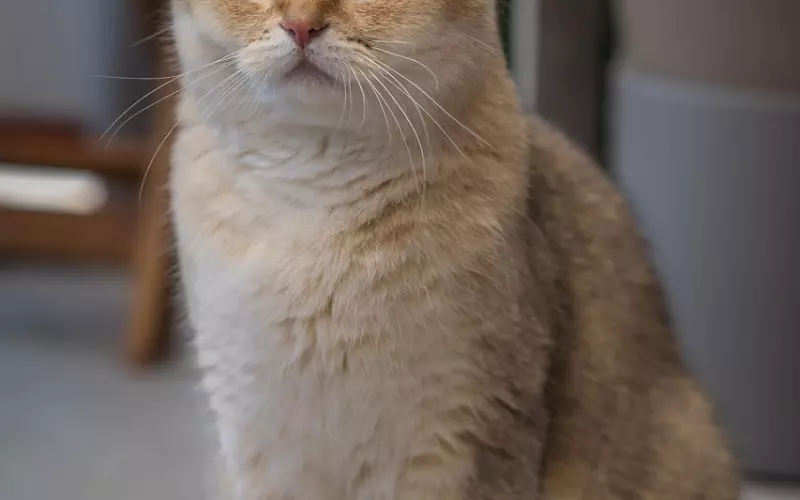 轻松挽回男友的方法