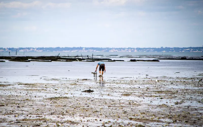 如何有效挽回男友？挽回男友的话