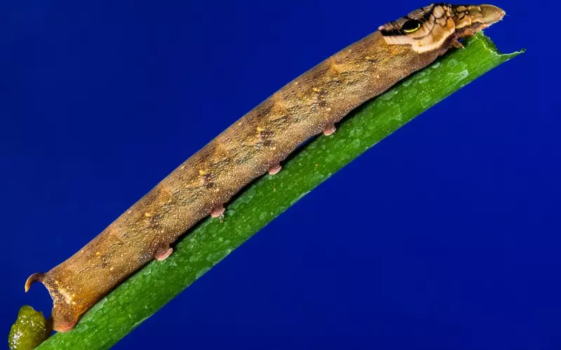 如何有效的挽回前任