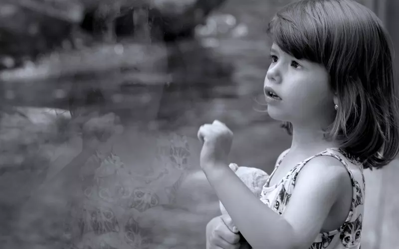 伴侣间应该怎样正确表达感情