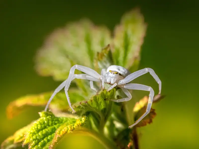 如何与巨蟹座谈恋爱