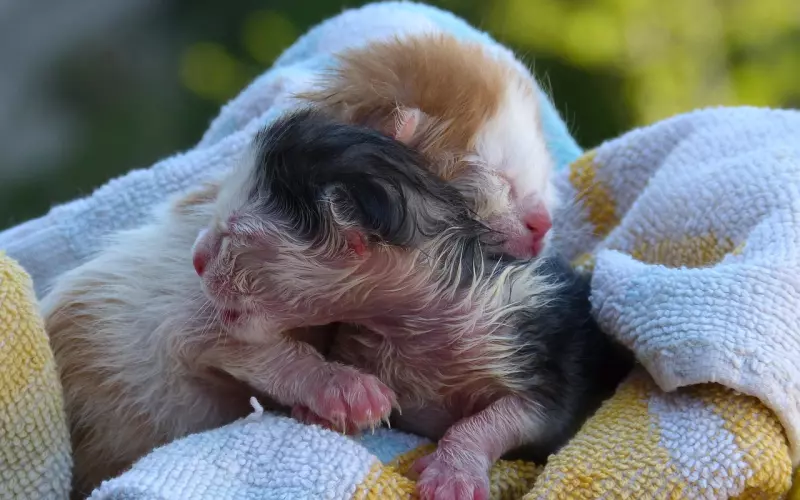 刚复合要怎么相处