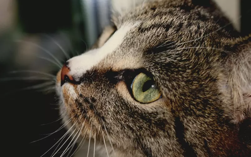 如何跟自己喜欢的人相处