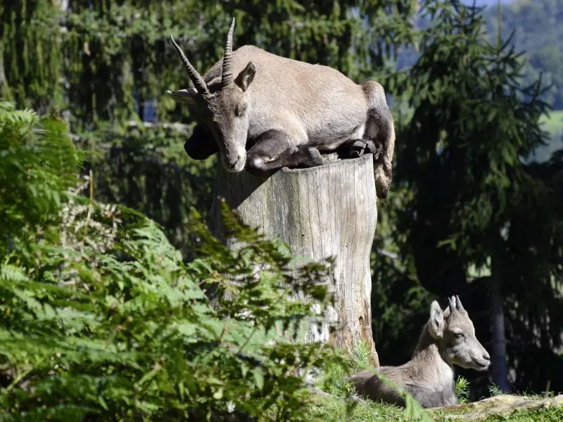 分手后怎样挽回之有效挽回摩羯男的方法