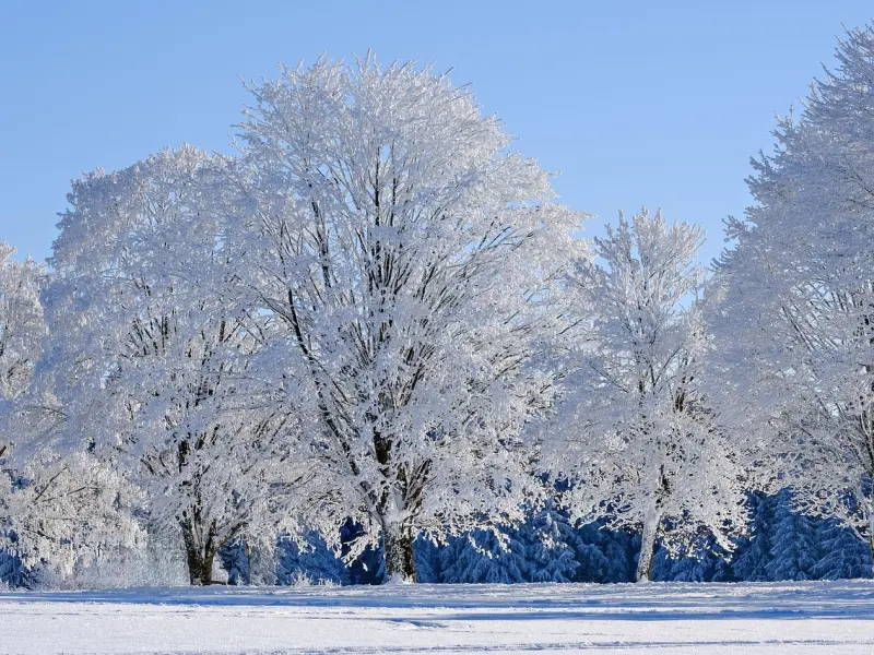 被拉黑了怎么挽回：分手后纠缠女友被拉黑了，还有挽回的机会吗？