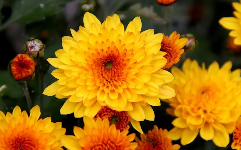 怎么样和分手的女友复合