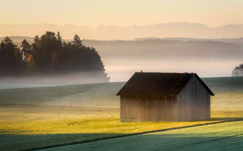 分手怎么复合：挽留狮子座的前男友，先从失恋的阴霾中走出了