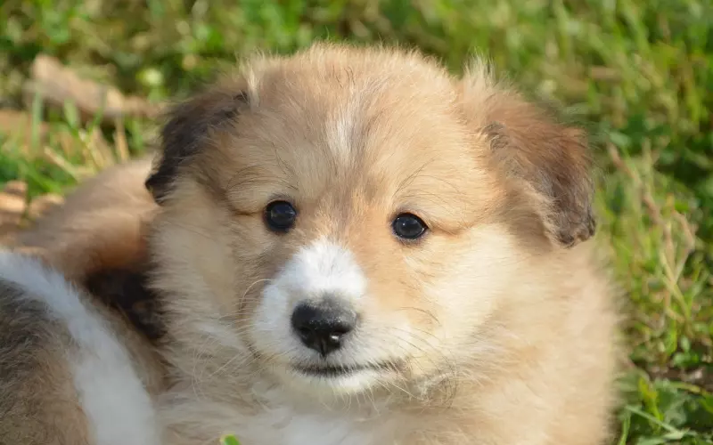 拉黑后如何复联