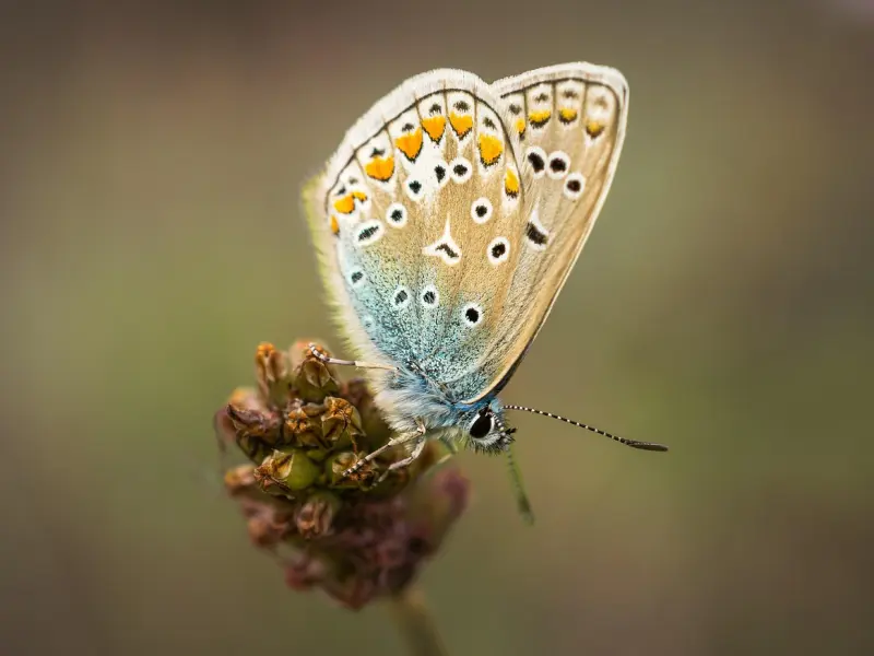如何跟前男友复合：男友心淡了，该怎么挽回男友的感情