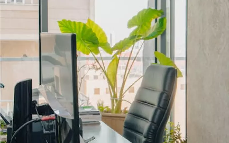 情侣之间怎么做到复联(分手复联后如何与男生制造话题)