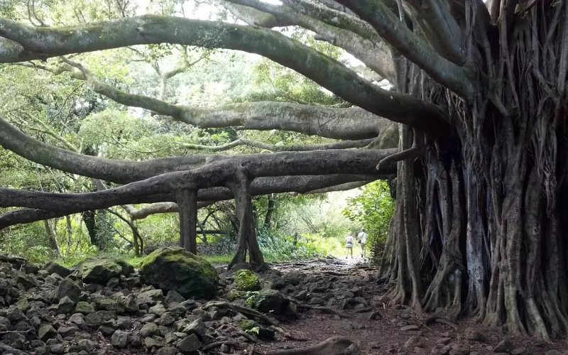 分开半年找前男友复合要怎么做