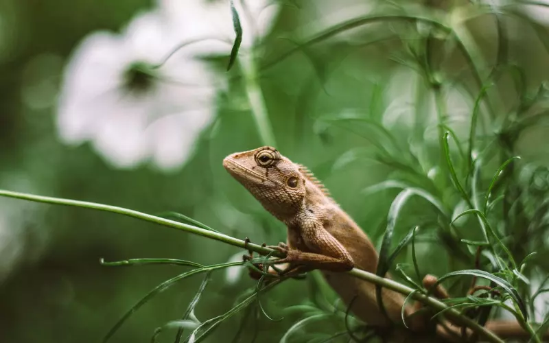 异地恋拉黑了怎么复合