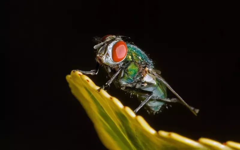 分手之后如何复合？试试这3招！