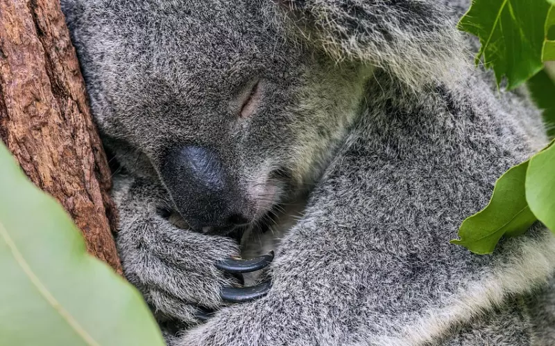 异地恋拉黑了怎么复合