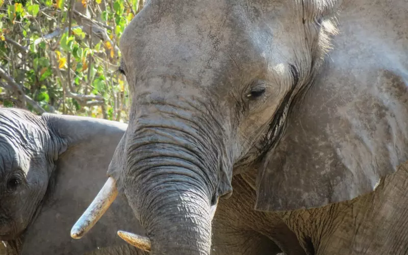抢在男友变心前的挽回方法