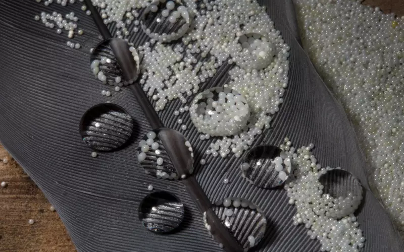 男友拒不见面怎么挽回