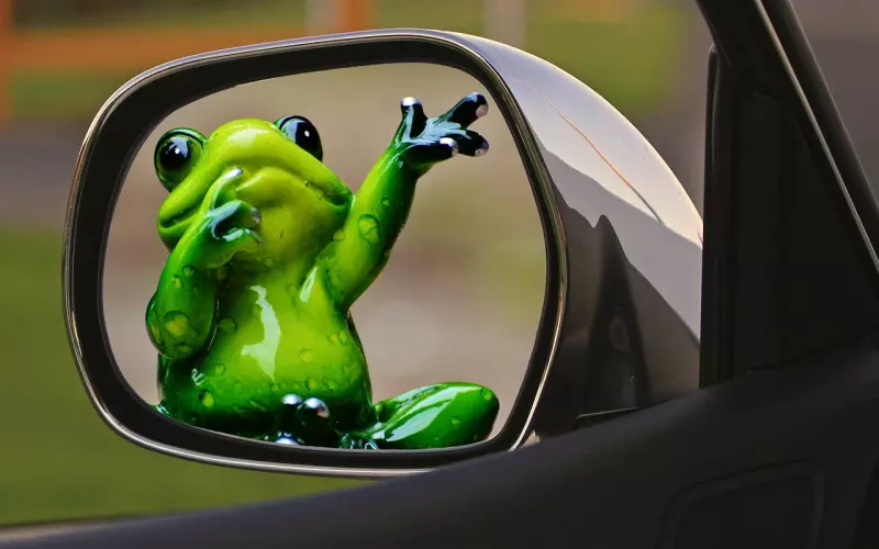 分手后真的忘不了前男友该如何挽回