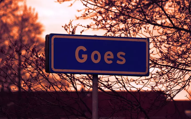 分手后真的忘不了前男友该如何挽回