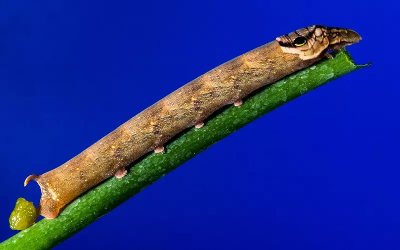 如何挽回男友：分手如何挽回被我作死的男朋友