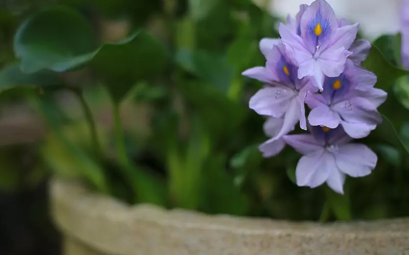 如何让附近的妹子主动加你？