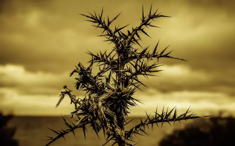 怎么才能走出失恋的痛苦