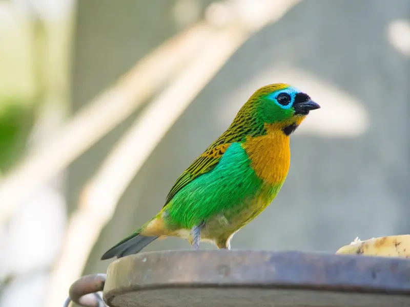 如何走出失恋的痛苦