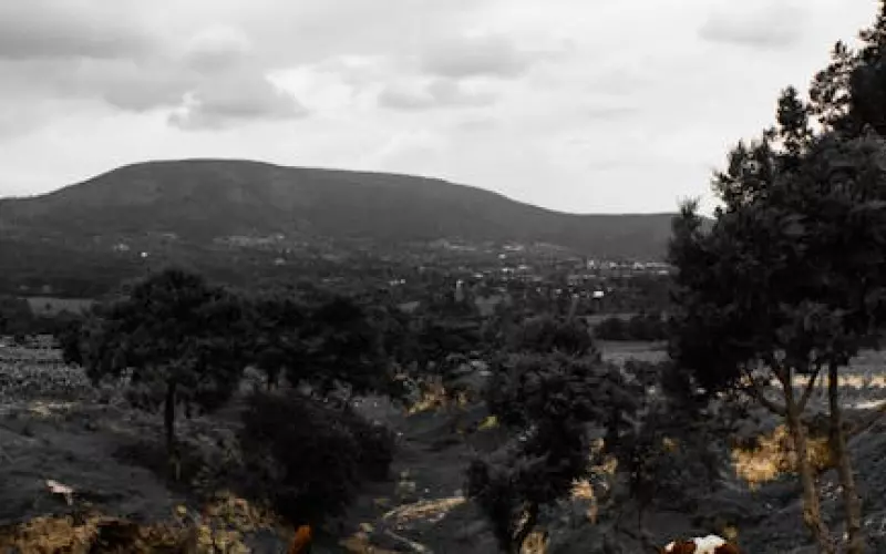 老公出轨要离婚怎样走出痛苦(女人有了外遇想离婚的表现)