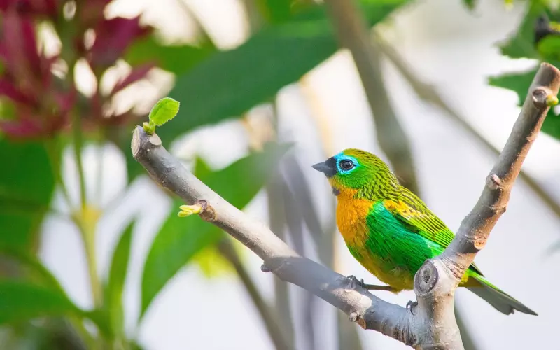 挽回爱情之前，如何走出分手的痛苦？