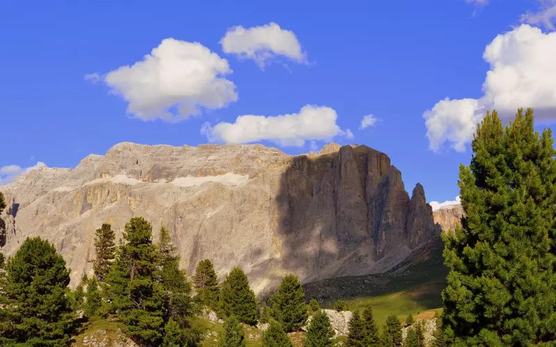 该怎么走出老公出轨的阴影？