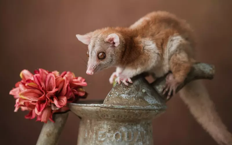 分手后应该怎么摆脱负能量？