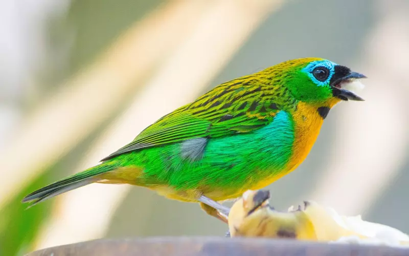 如何走出搭讪焦虑的误区