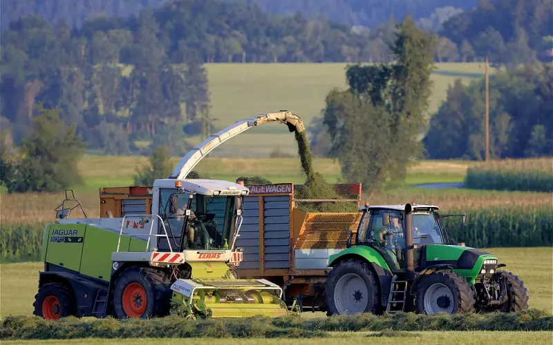 如何摆脱“渣男收割机”体质？