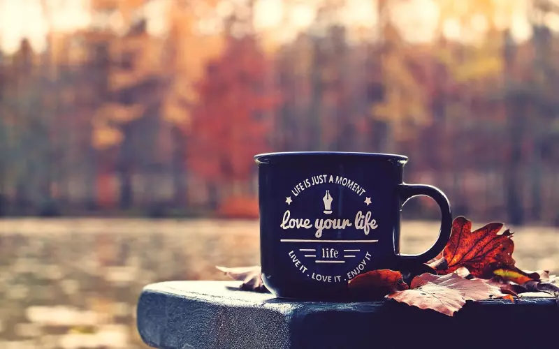 如何挽回一个不再爱你的人？