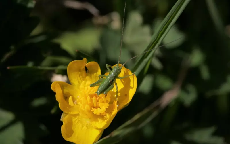 恋爱平淡期怎么度过，情感咨询师教你度过恋爱瓶颈期