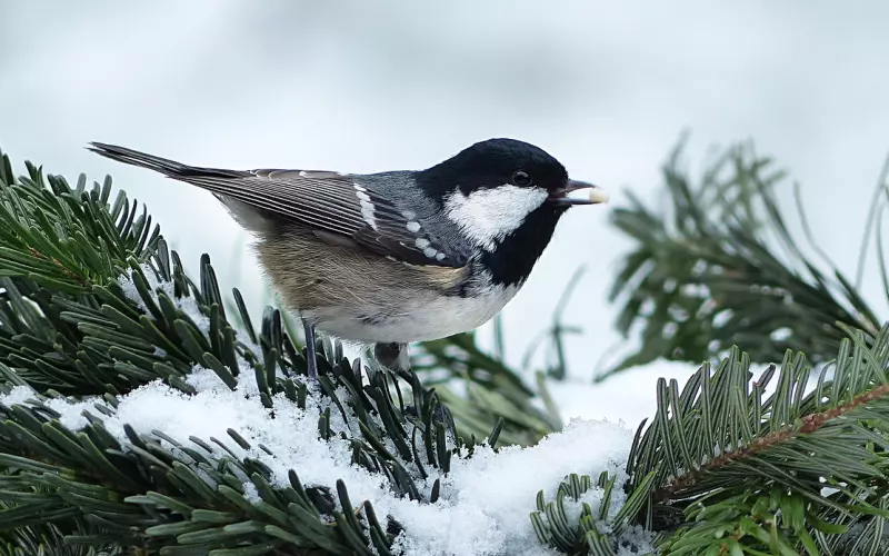 如何度过失恋后的痛苦期