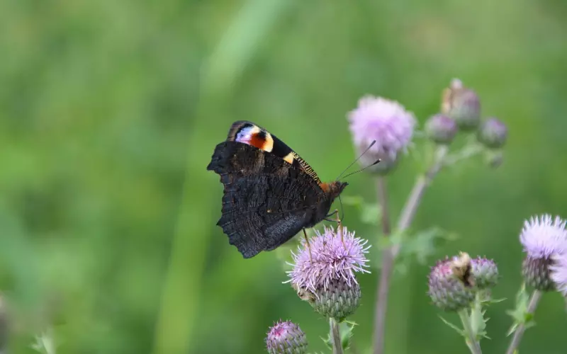 如何度过失恋期，男人走出失恋需要多久