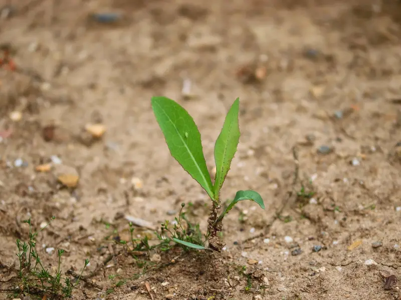 分手了怎么挽回男朋友：把男友伤透了坚决分手，该怎么挽回呢？